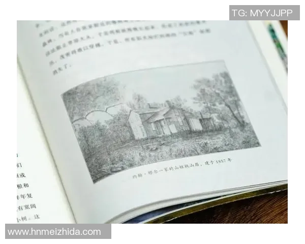 在荒野中对立孤单｜记者手记